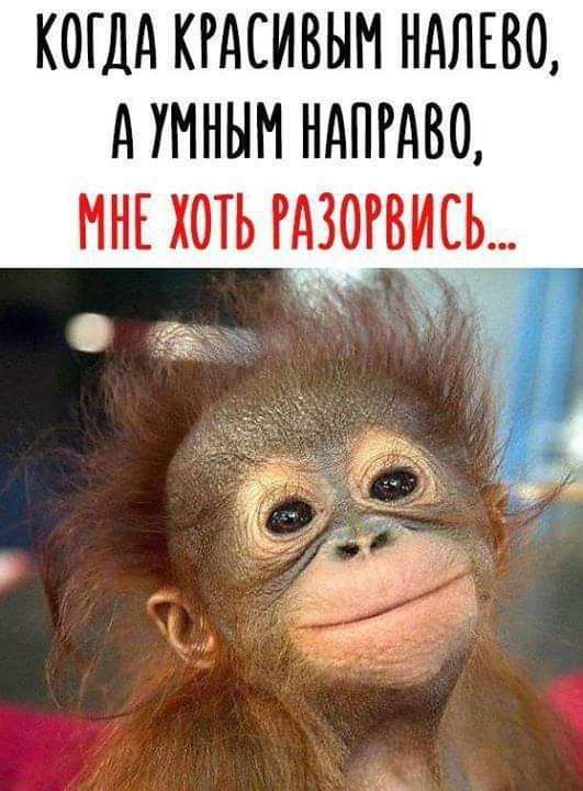 КОГДА КРАСИВЫМ НАЛЕВО АУМНЫМ НАИР0 МНЕ ХОТЬ РАЗОГВИСЬ