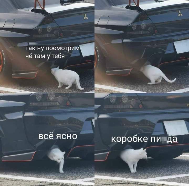 _ тдну посмотрим д чё там у тебя