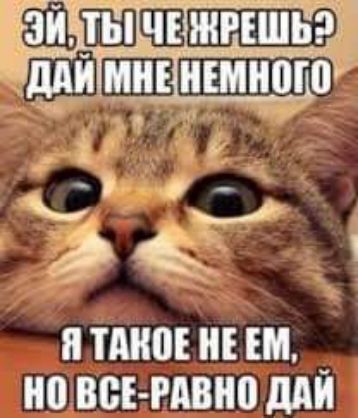ПШ ЕМ ОБСЕ РАВНО МЙ