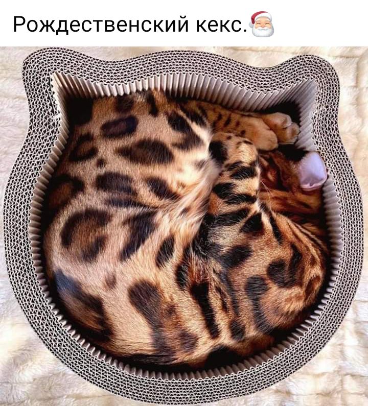 И КЭКС Рождественски