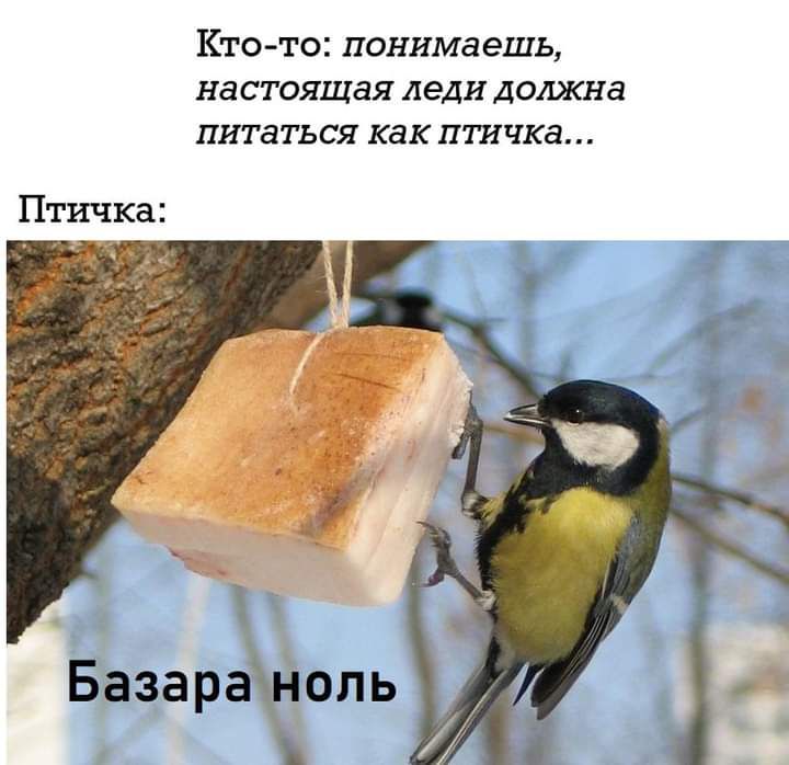 Кто то понима ешь настоящая леди должна питаться как птичка о Базара оль
