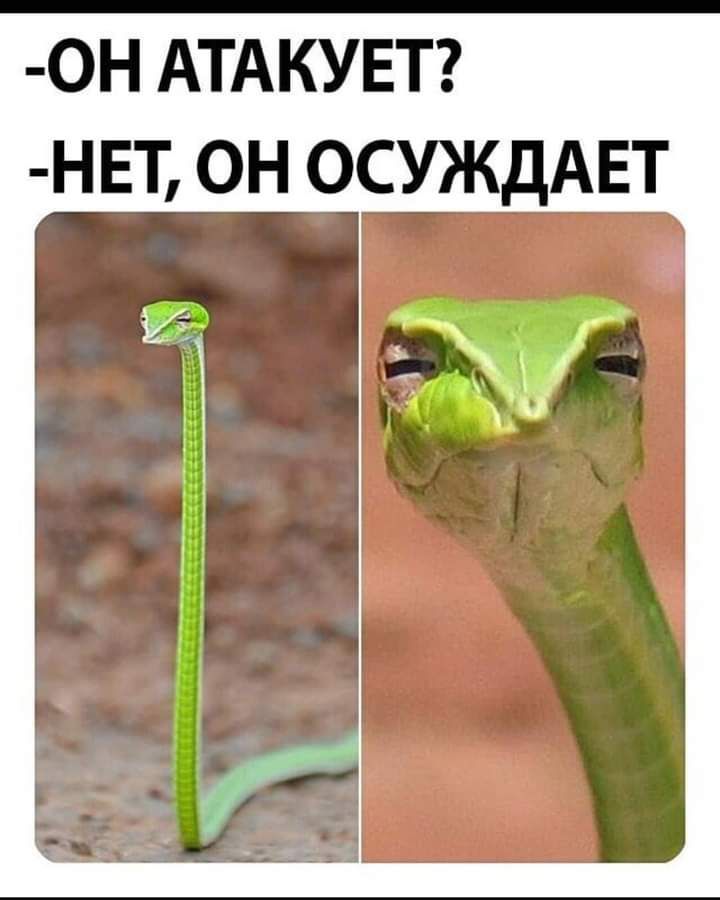_он АТАЮЕТ н ЕТ он ОСУЖДАЕТ