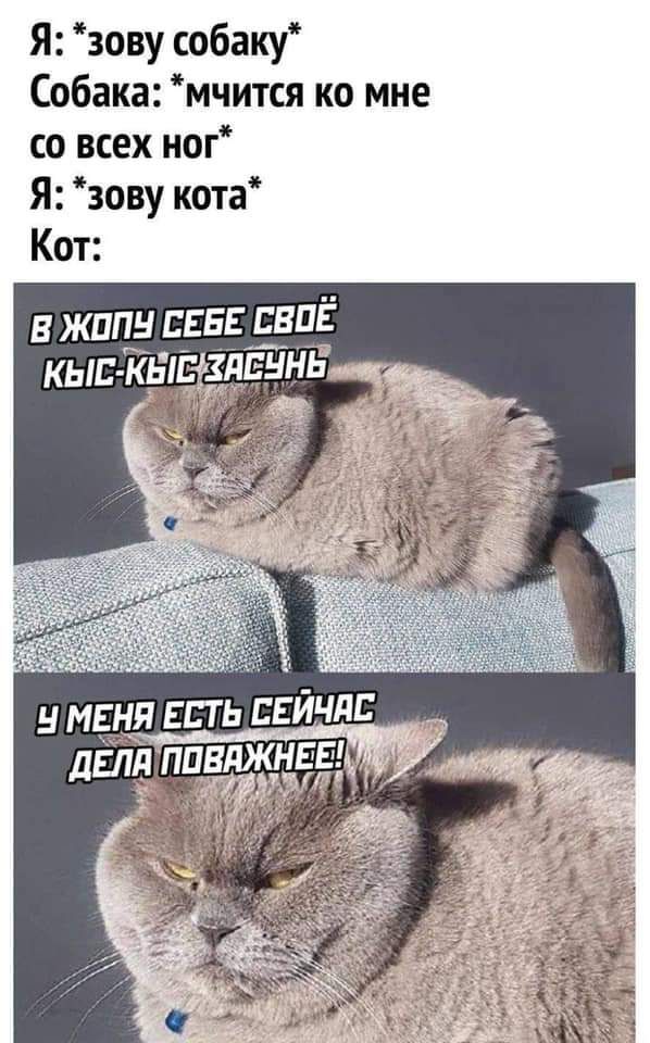 Я зову собаку Собака мчится ко мне со всех ног Я зову кота Кот В ЖППН ЕЕБЕД ЕВПЁ Н МЕНЯ ЕВГ Ь ЕЕЙЧдЕ дЕЛд ППВЛЖНЕЕМ