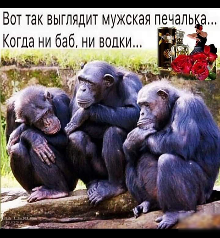 ВОТ ТЭК ВЫГЛЯДИТ МУЖСКЭЯ ПЭЧЭЛЬ а
