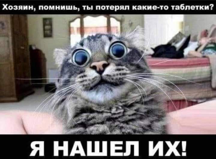Хозяин помнишь ты потерял какие то таблетки Я НАШ ЕП ИХ