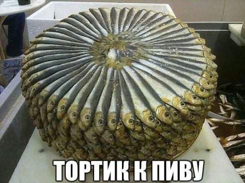 7 ъ __ ч 2 5 Ё _ і _к и Ъ _г д СіфцжгчёдЁ 31 _ _ ЪШТИН ИМК