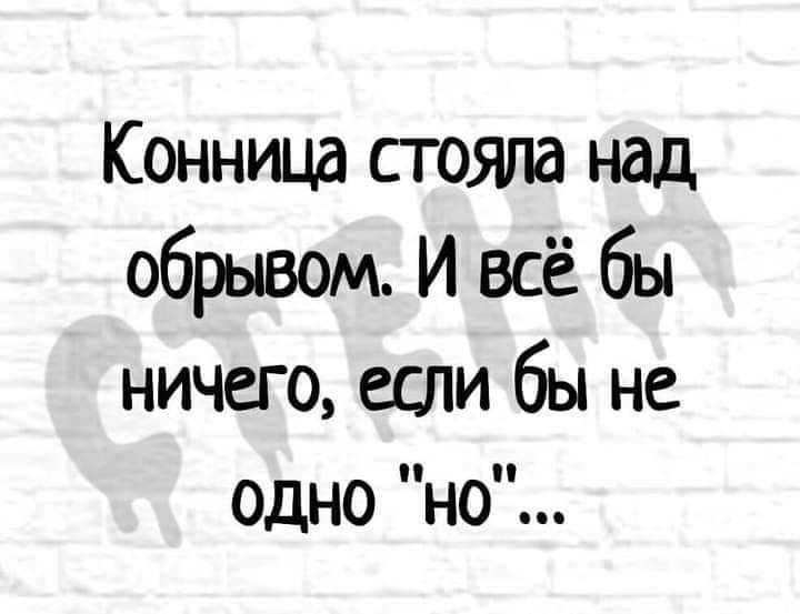 Конница стояла над обрывом И всё бы ничего если бы не одно но