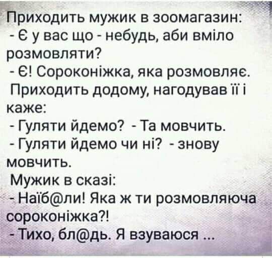 Приходить мужик в зоомагазин е у вас що небудь аби вміло розмовляти С Сороконіжка яка розмовляе Приходить додому нагодував і каже Гуляти йдемо Та мовчить Гуляти йдемо чи ні знову мовчить Мужик в сказі 7 Налбпи Яка ж ти розмовляюча _ сороконпжка ихо блдь Я взуваюся
