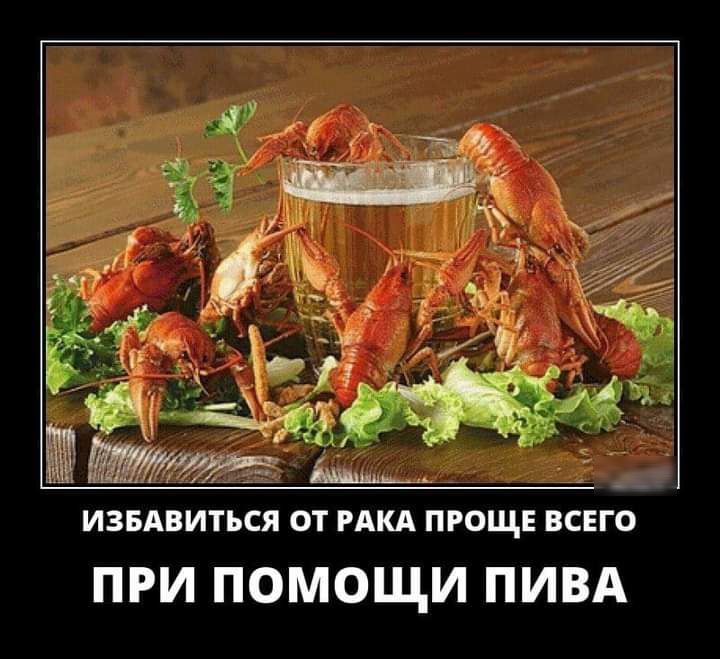 ПРИ ПОМОЩИ ПИВА