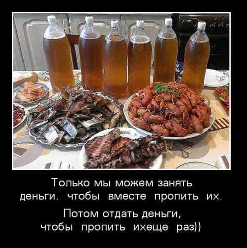 ТОЛЬКО МЫ можем ЗЗНЯТЬ деньги ЧТОбЫ вместе пропить ИХ Потом отдать деньги чтобы пропить ихеЩе раз