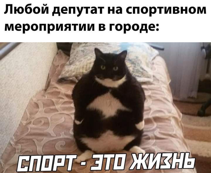 Любой депутат на спортивном мероприятии в городе