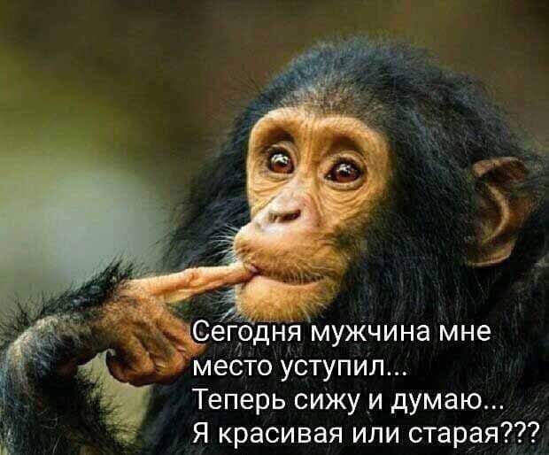 Сегодня мужчина мне место уступил Теперь сижу _и думаю Я красивая или старая