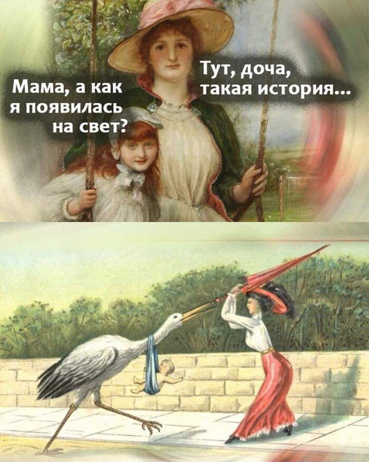 Мама а как я появилась на свет _