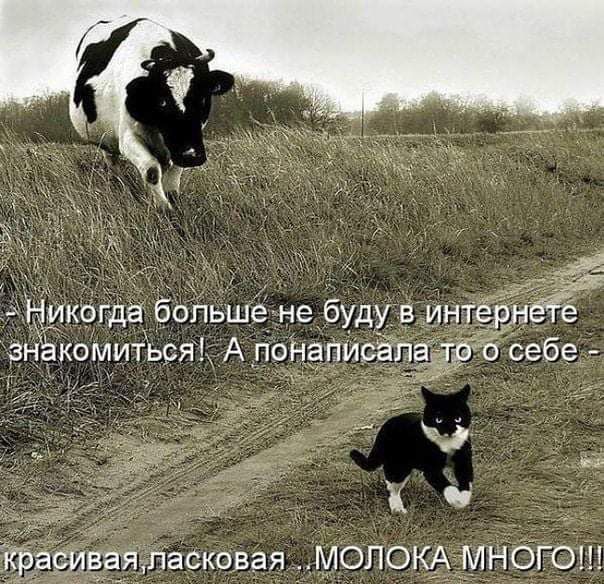 ласковая__мопокАМНОГОШ