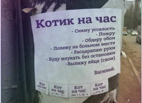 котик на час Сниму уссалость ПОЖРУ _ обдеру 05 _ полежу на больном Месте УКИ Рэп ВРЗ Буду МПУ Вьшижу
