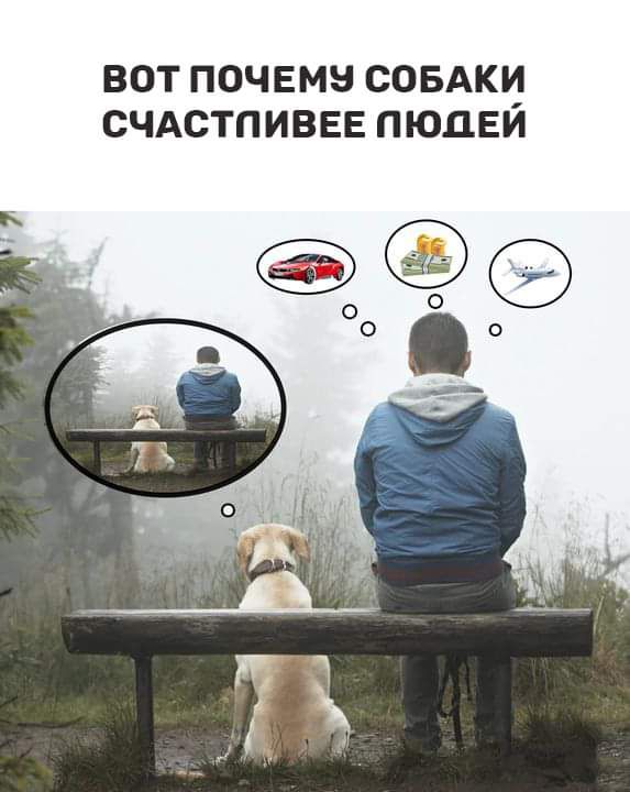 ВОТ ПОЧЕМЗ СОБАКУ СЧАСТПИВЕЕ ПЮДЕИ