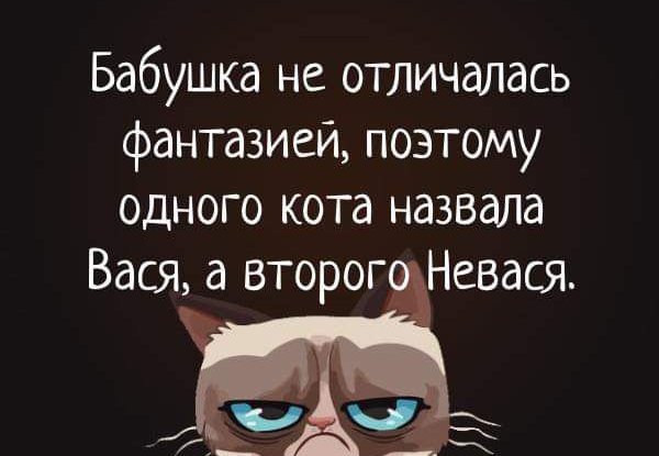 Бабушка не отличалась фантазией поэтому одного кота назвала Вася а второг Невася