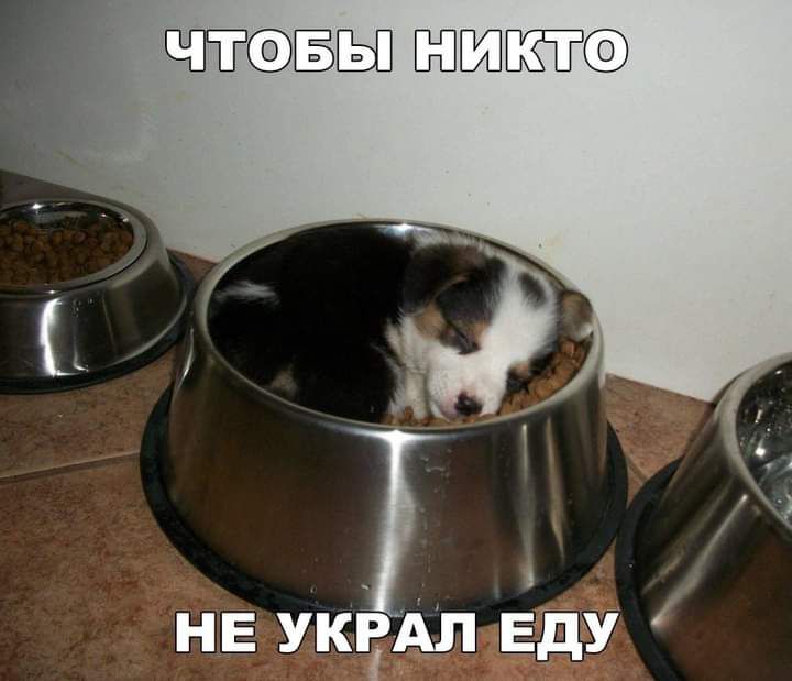 _ _ и і Е Кем Еду