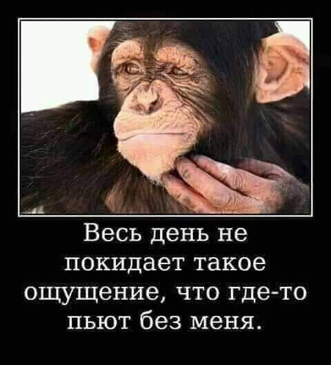 Весь день не покидает такое ощущение что где то пьют без меня