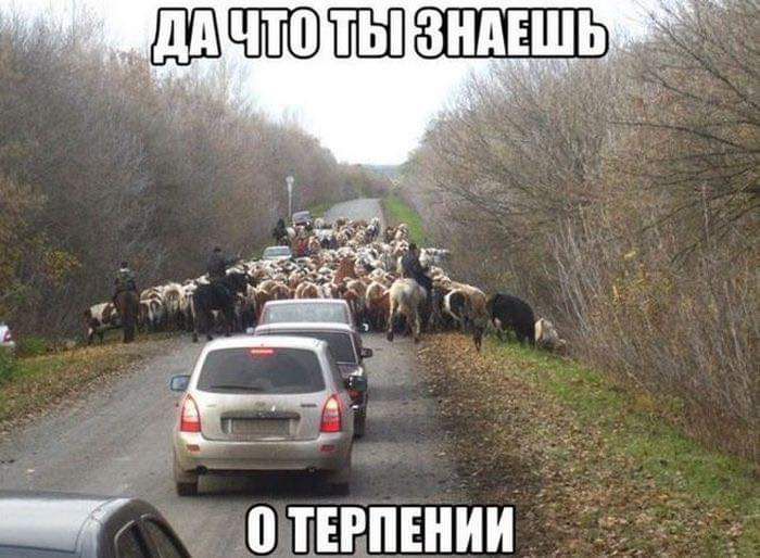 и и н Р Е т