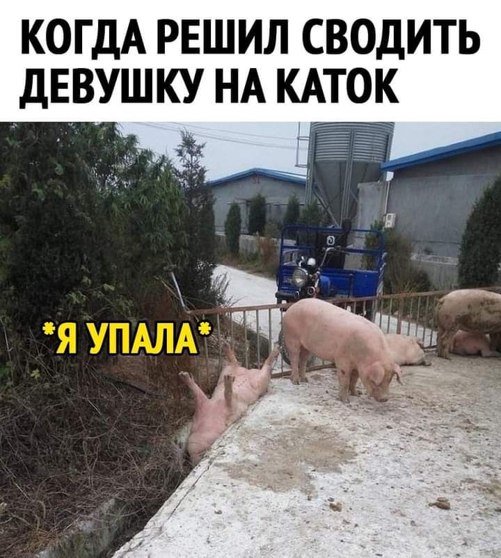 КОГДА РЕШИЛ СВОДИТЬ ДЕВУШКУ НА КАТОК