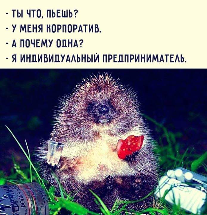 ТЫ ЧТО ПЬЕШЬ У МЕНЯ КОРПОРАТИВ А ПОЧЕМУ ОДНА Я ИНПИВИПУААЬНЫЙ ПРЕППРИНИМАТЕАЬ