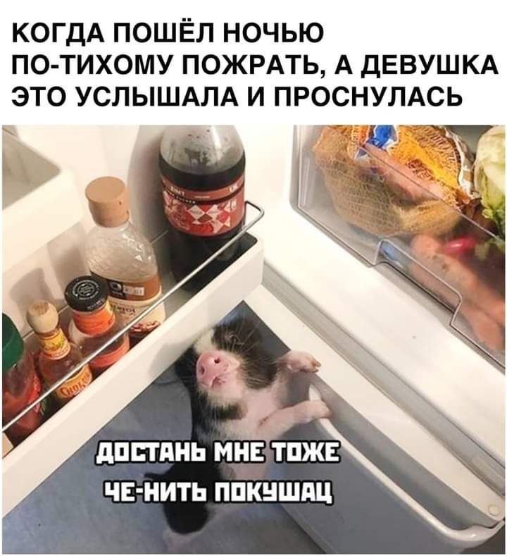 КОГДА ПОШЁЛ НОЧЬЮ ПО ТИХОМУ ПОЖРАТЬ А дЕВУШКА ЭТО УСЛЫШАЛА И ПРОСНУПАСЬ Й дПЕТПНЬ МНЕ ТПЖЕ ЧЕНИТЬ ППКНШПЦ