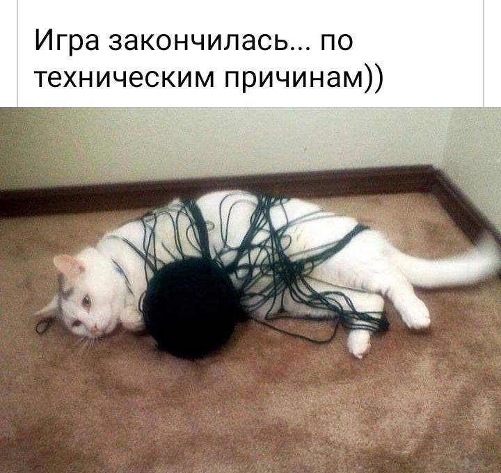Игра закончилась по техническим причинам