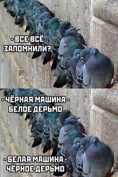 ЁН5ЁЁЩ нвппвдйьмп