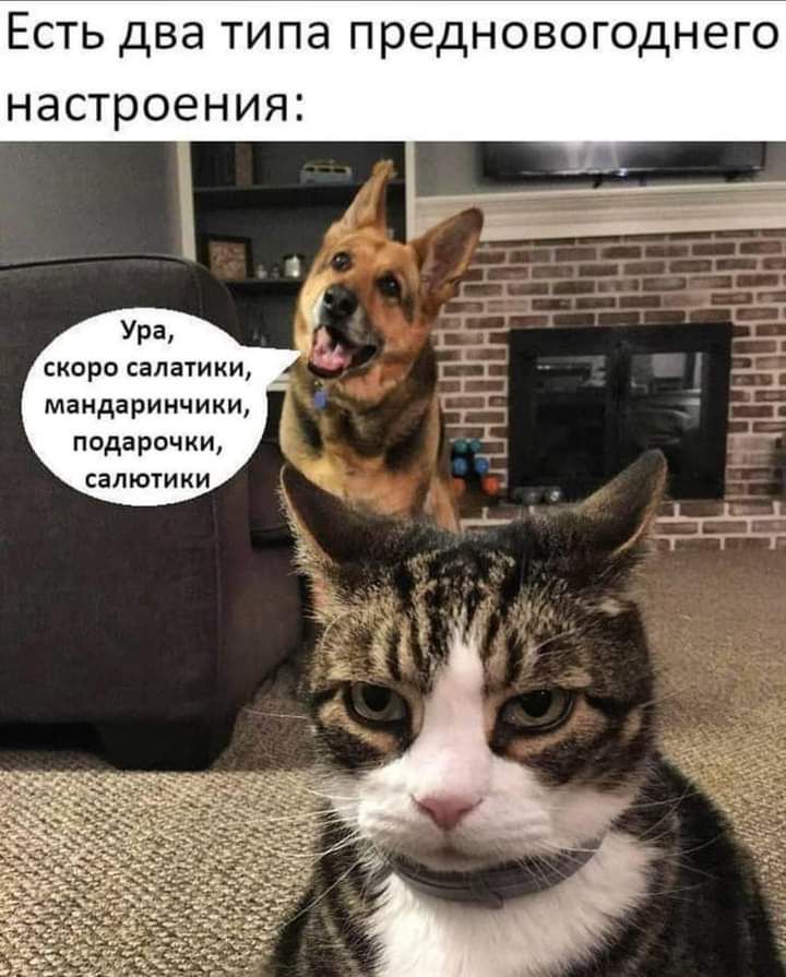 Есть два типа предновогодне настроения Ура скоро салатики мандаринчики пода рочки салютики