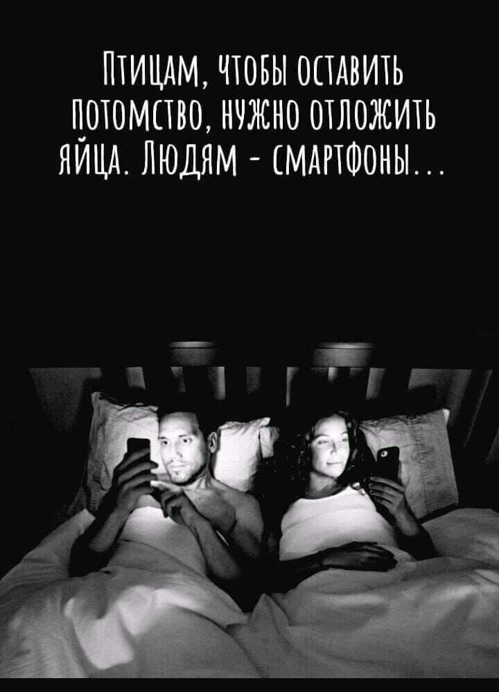 ПТИЦАМ ЧТОБЫ ОСТАВИТЬ ЦОЮМПВО НУЖНО ОТЛОЖИТЬ НИЦА ЛЮДЯМ СМАРТФОНЫ