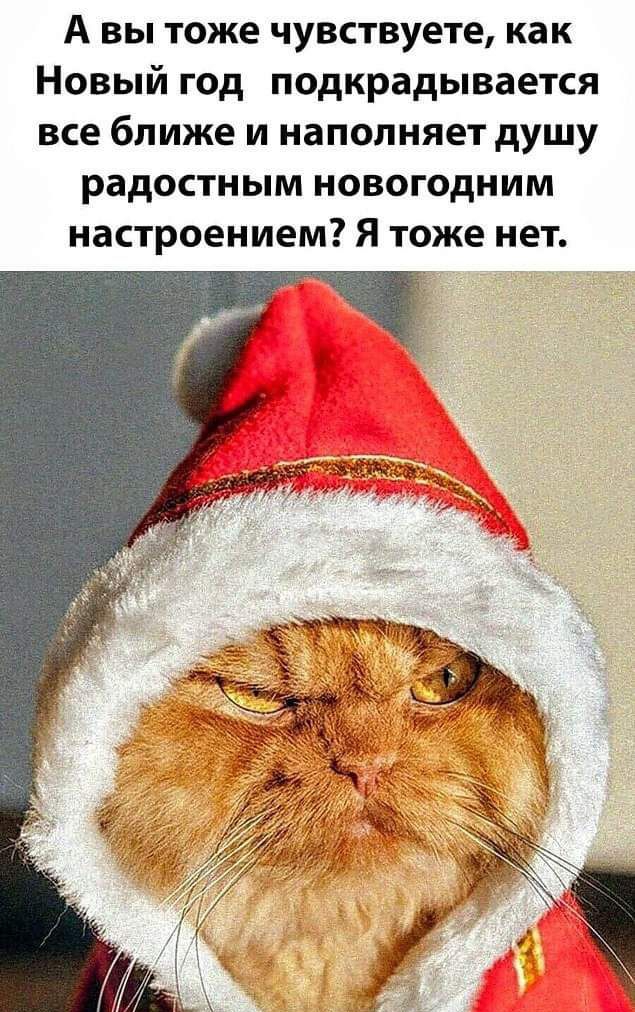 А вы тоже чувствуете как Новый год подкрадывается все ближе и наполняет душу радостным новогодним настроением Я тоже нет