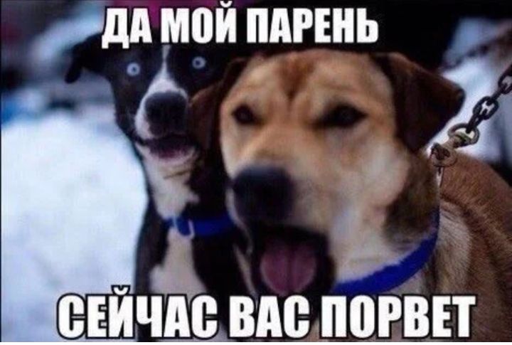 ім мой ПАРЕНЬ 1 2 4 ЁЕИЧМЗ ВМ ППРВЕТ