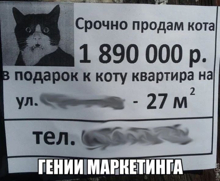 1 890 000 р подарок К коту квартира на ТИИМНЕ1МА