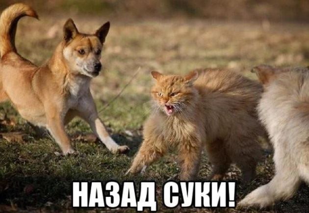 _ _ 3 у _ ъ _