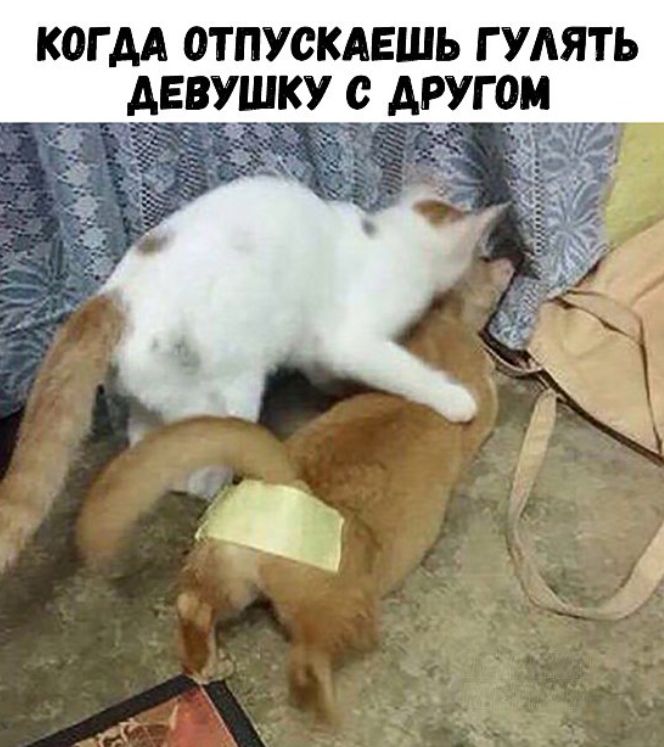 КОГ АА ОТПУСКАЕШЬ Г УАЯТЬ АЕВУШКУ С АРУГОМ
