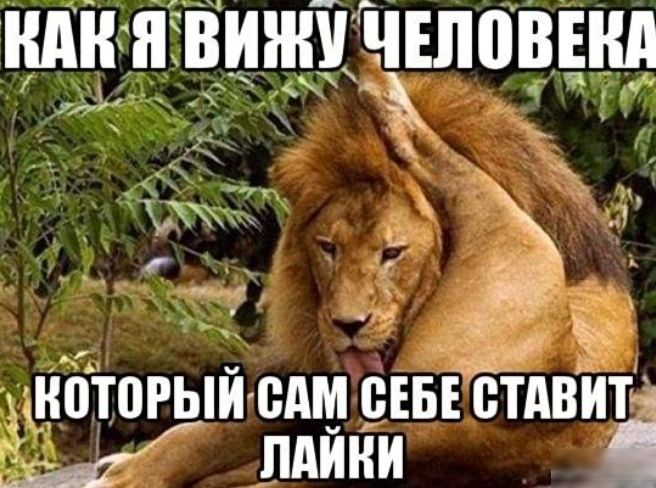 ШШ Я ШШШ ЧЕЛПВЕШ _ __ НПТПРЫИ едм ЁЕБЕ ЁТАВИТЧ М ПАЙНИ