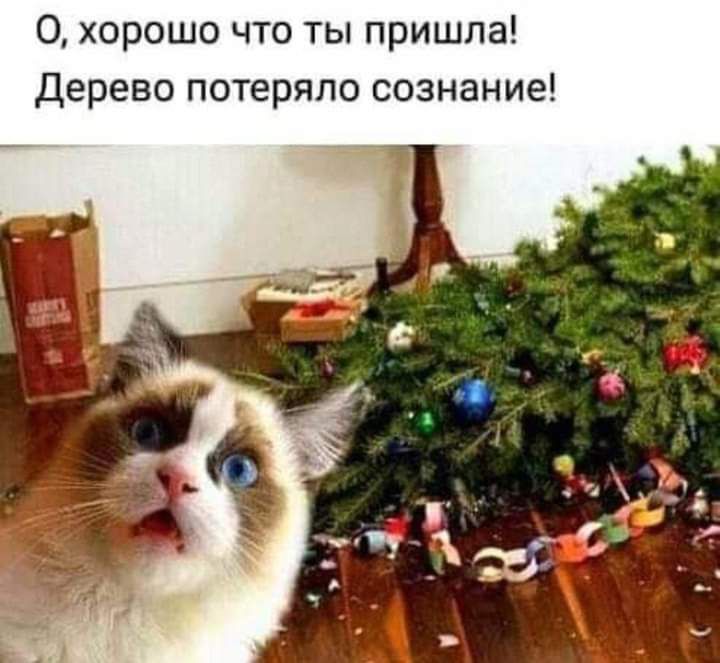 0 хорошо что ты пришла Дерево потеряло сознание