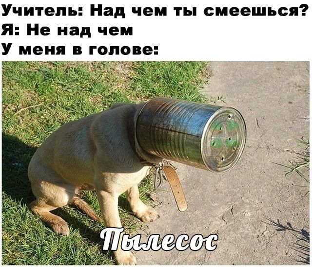 Учитель Над чем ты смеешься Я Не над чем У меня в голове щ