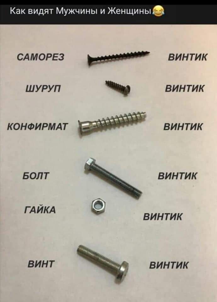 Как видят Мужчины и ЖенщиныЁ САМОРЕЗ вдв винтик шуруп винтик конфирмдт винтик БОЛТ винтик о ГА ИКА ВИН ТИК винт винтик
