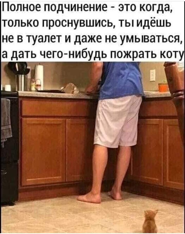 Полное подчинение это когда только проснувшись ты идёшь не в туалет и даже не умываться а дать чего нибудь пожрать коту