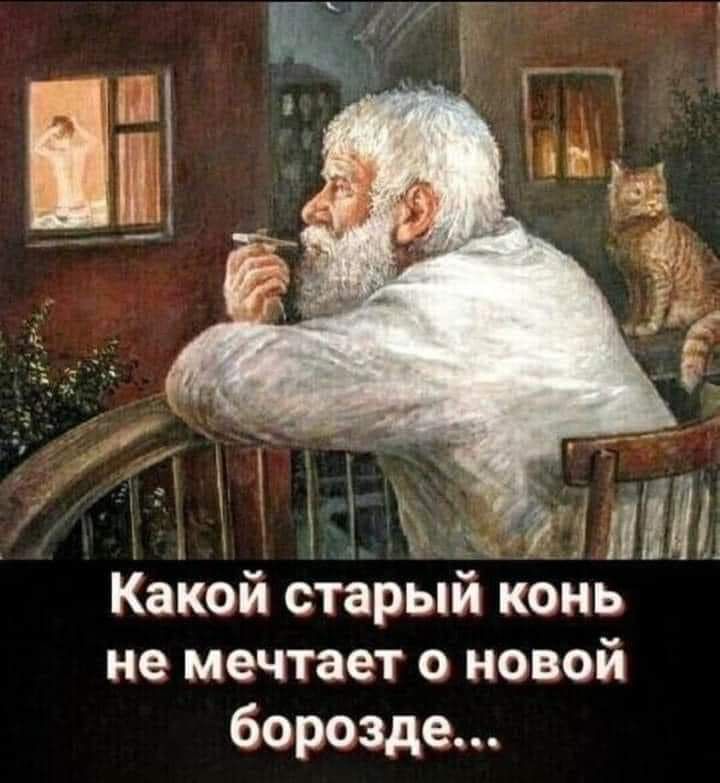 Какой старый конь не мечтает о новой борозде