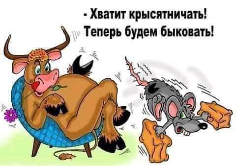 Хватит крысптиичать Теперь будем быконать
