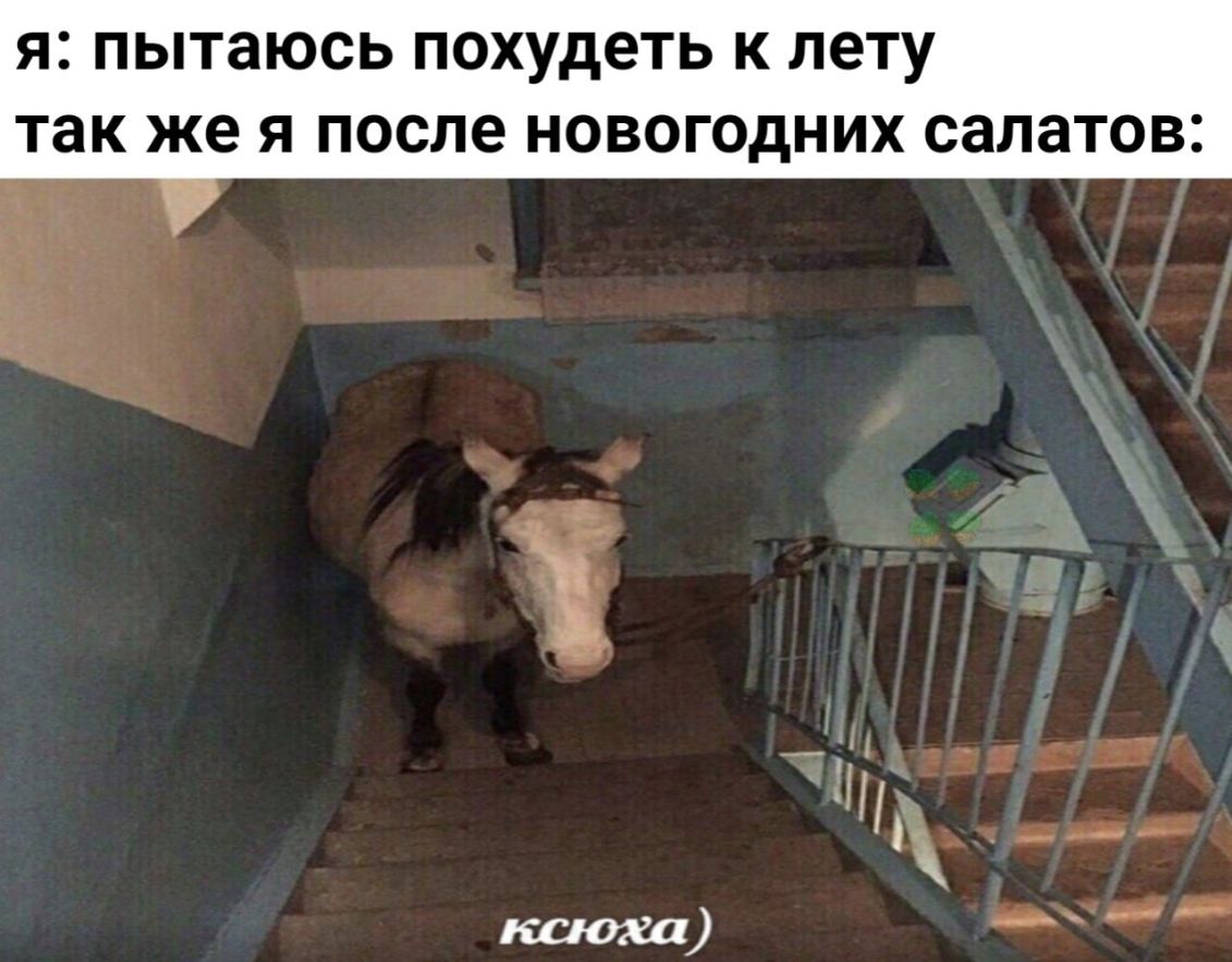 я пытаюсь похудеть К ЛОТУ так же Я после НОВОГОДНИХ салатов