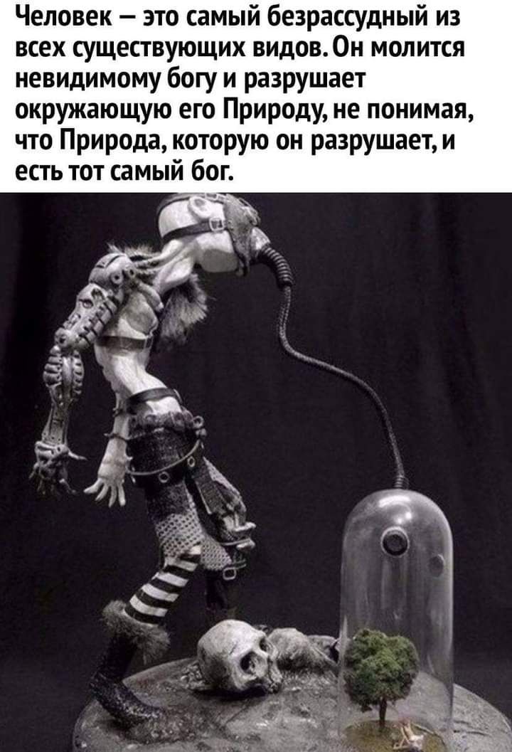 Человек это самый безрассудный из всех существующих видов0н молится невидимому богу и разрушает окружающую его Природу не понимая что Природа которую он разрушает и есть тот самый бог