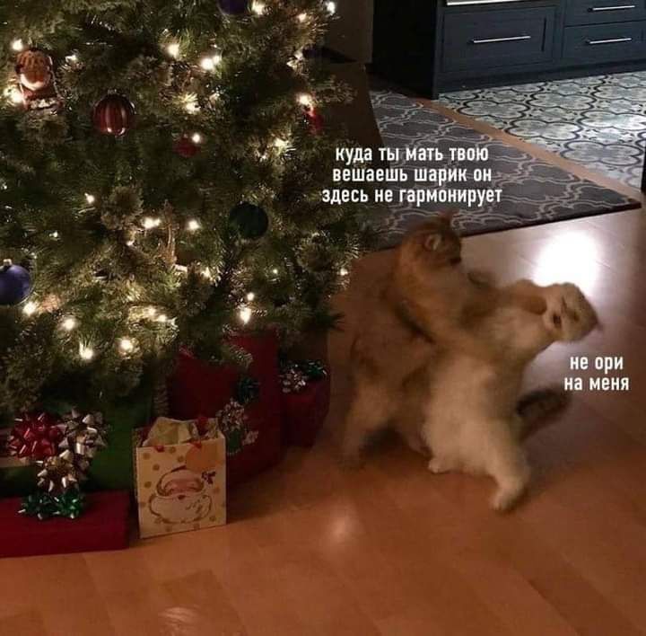 нешаешь зд не при щ