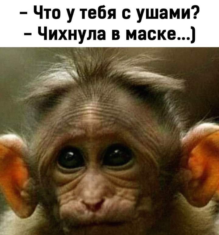 Что у тебя с ушами Чихнула в маске а 1