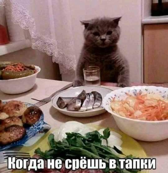 гі _ Когдаэнрспвшввт__апии
