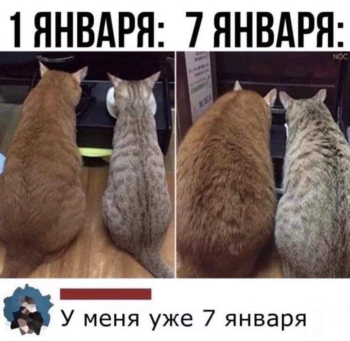 1 ЯНВАРЯ 7 ЯНВАРЯ У меня уже 7 января