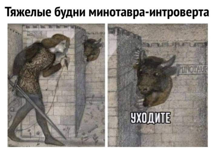 Тяжелые будни минотавра интроверта НХПДИТЕ